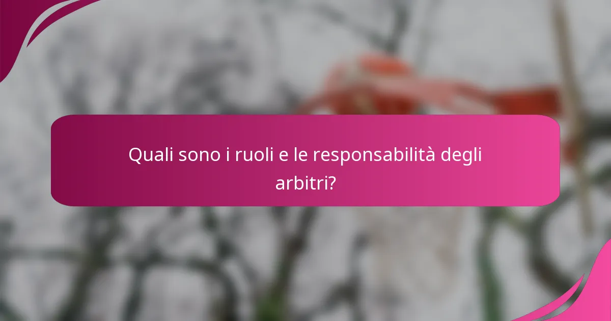 Quali sono i ruoli e le responsabilità degli arbitri?